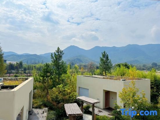 Blossom House Changxing