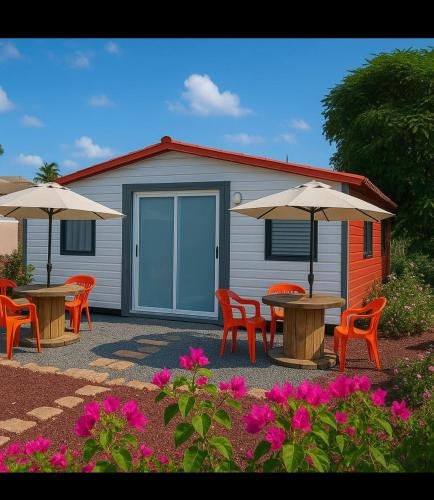 Casa Nautilus barra de navidad