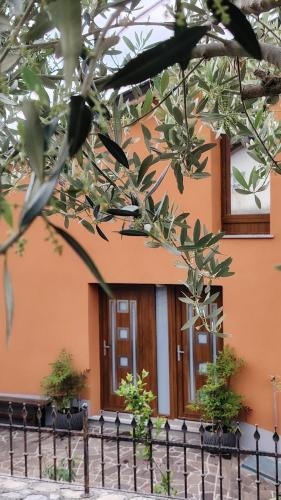 Nedi's Nest - Cozy Countryside Retreat Under Palmtrees