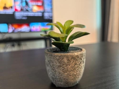 Royal Comfort Suite Meritus near swimming pool