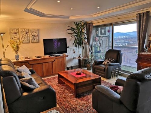 Bel Appartement Avec Vue Splendide Sur Toute la Ville de Colmar Parking Gratuit
