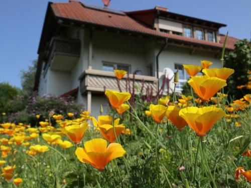 Ferienwohnung Haus Doris
