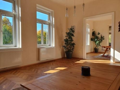 Neu renovierte Altbauwohnung im Herzen von Steyr 100qm