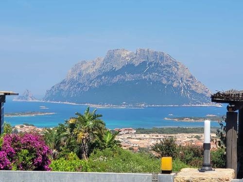 Claude&Kate's Dream House