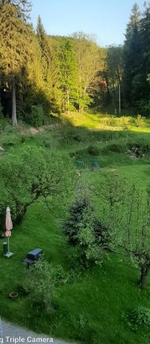 Pod Modrzewiem Mieszkania wakacyjne