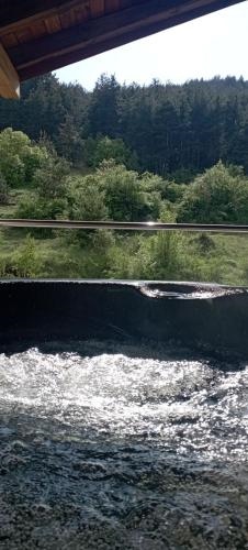 ????? View Penthouse