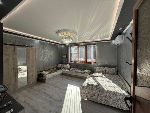 ?????????? ?? ????? ???????