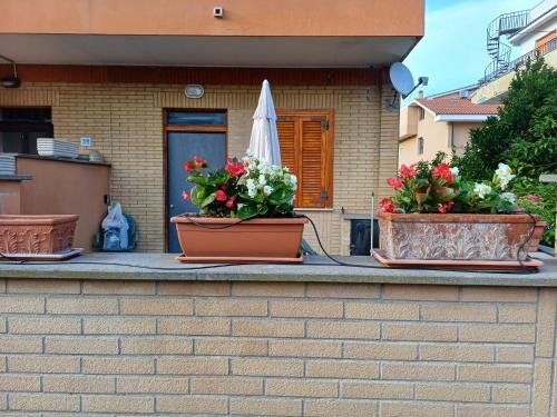 casa delle margherite Ladispoli