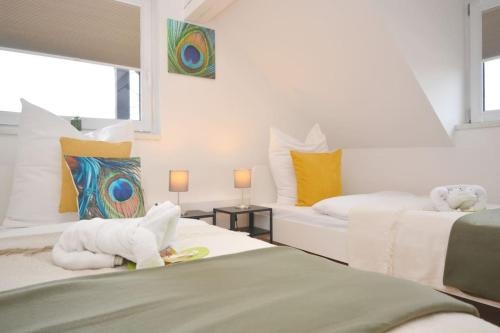 RT01 RI Apartment in Roth