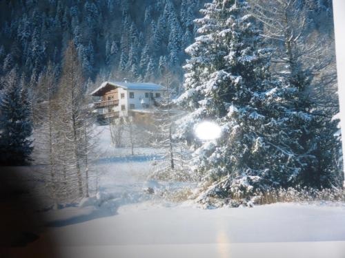 Alpenchalet