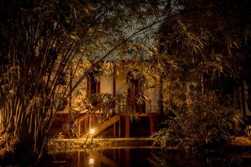 Eden Garden By Cliff Way