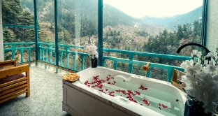 The Elevia By fat Dad 