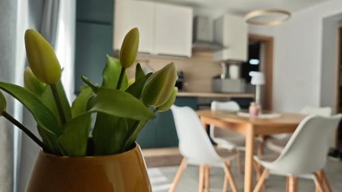 Apartma Bella Nadiza