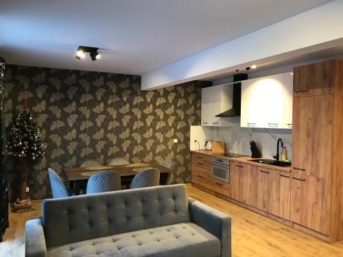 Apartament Brazowy 12/1