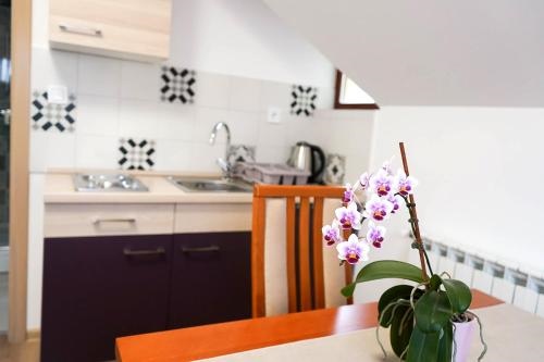 Studio Apartman Safranko