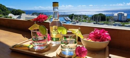 Appartement Karuk'Idile Vue Mer Exceptionnelle a 200m de la Plage