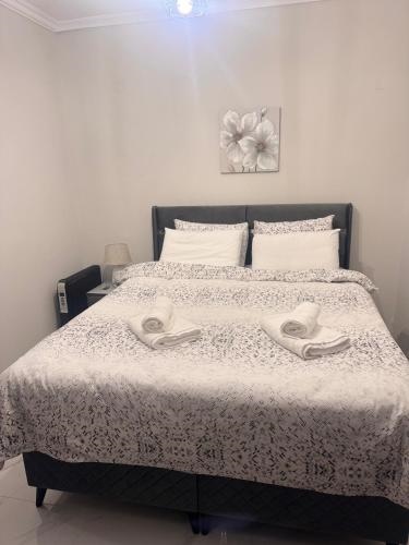 Comfortable Suites 2