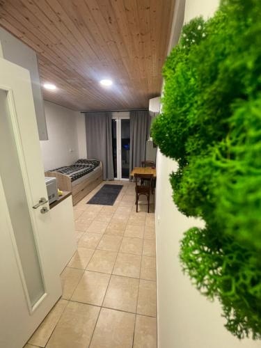 Apartman mini Stupava
