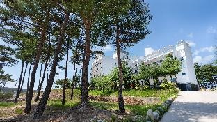 Yangyang Graemdog Aegyeon Pension