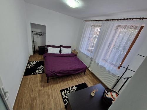 Apartamentul Florilor de Fan