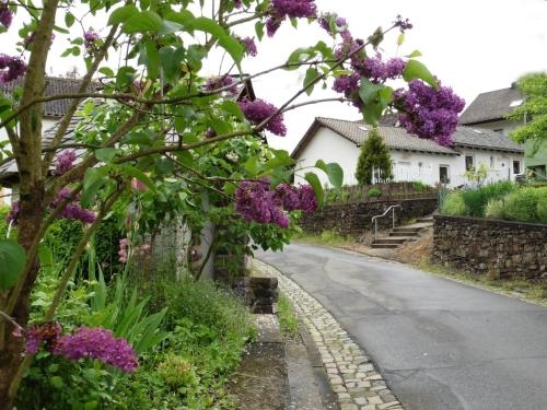 Ferienwohnungen Waldsicht und Dorfsicht