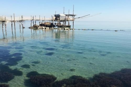 Casa Patrizia Costa Trabocchi