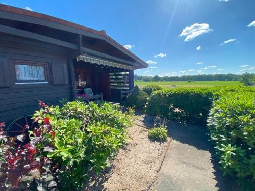 Ferien & Monteurwohnung Heidehauschen