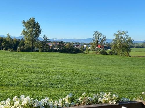 Gemutliche Wohnung mit Ofen und Naturblick