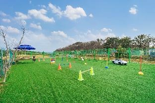 Byeolbit Kids Pets Poolvilla