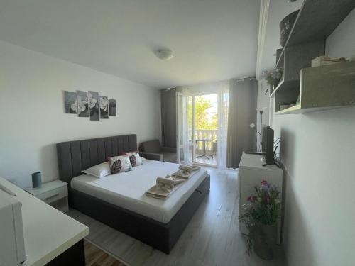 ?????? ?????? 4 - ????? ????? ????