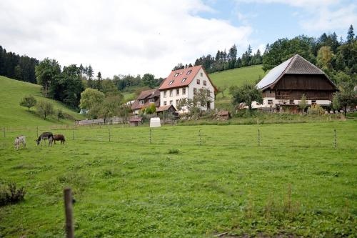 Ruhbauernhof
