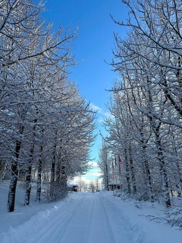 Cozy, forest cabin #11 in Hvolsvollur - Self check-in, outside jacuzzi!