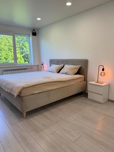 Apartamento de Lujo en Alytus