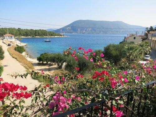 Vassili's Apartment, Kefalonia