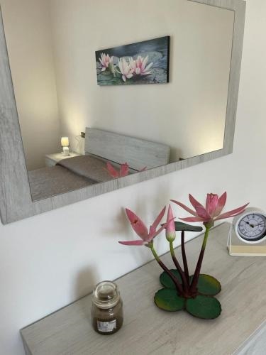 Water Lily Apartment