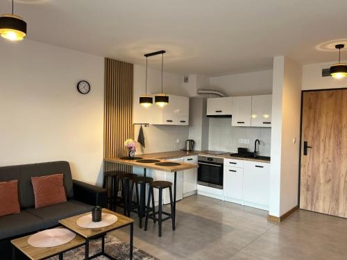 Wczasy Chmielno Apartament PUDROWY