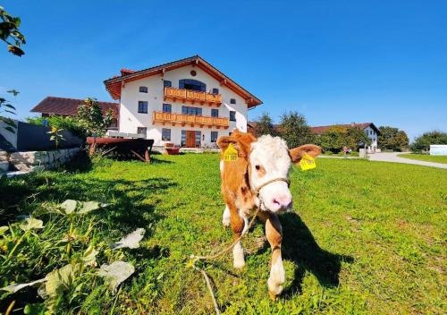 Gewolbe-Chalet am Schoberlhof