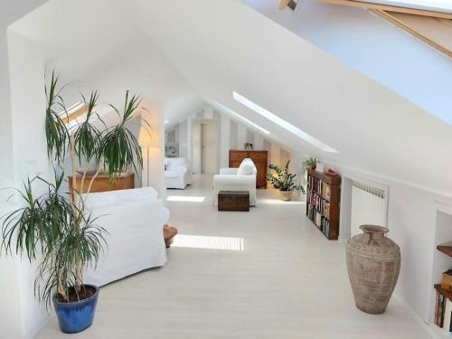 La Terrazza di Miky big terrace wifi parking