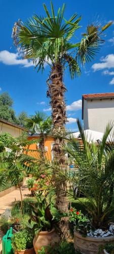 Grahl S Ferienwohnung