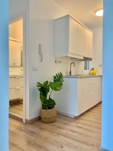 Apartamento El Malecon