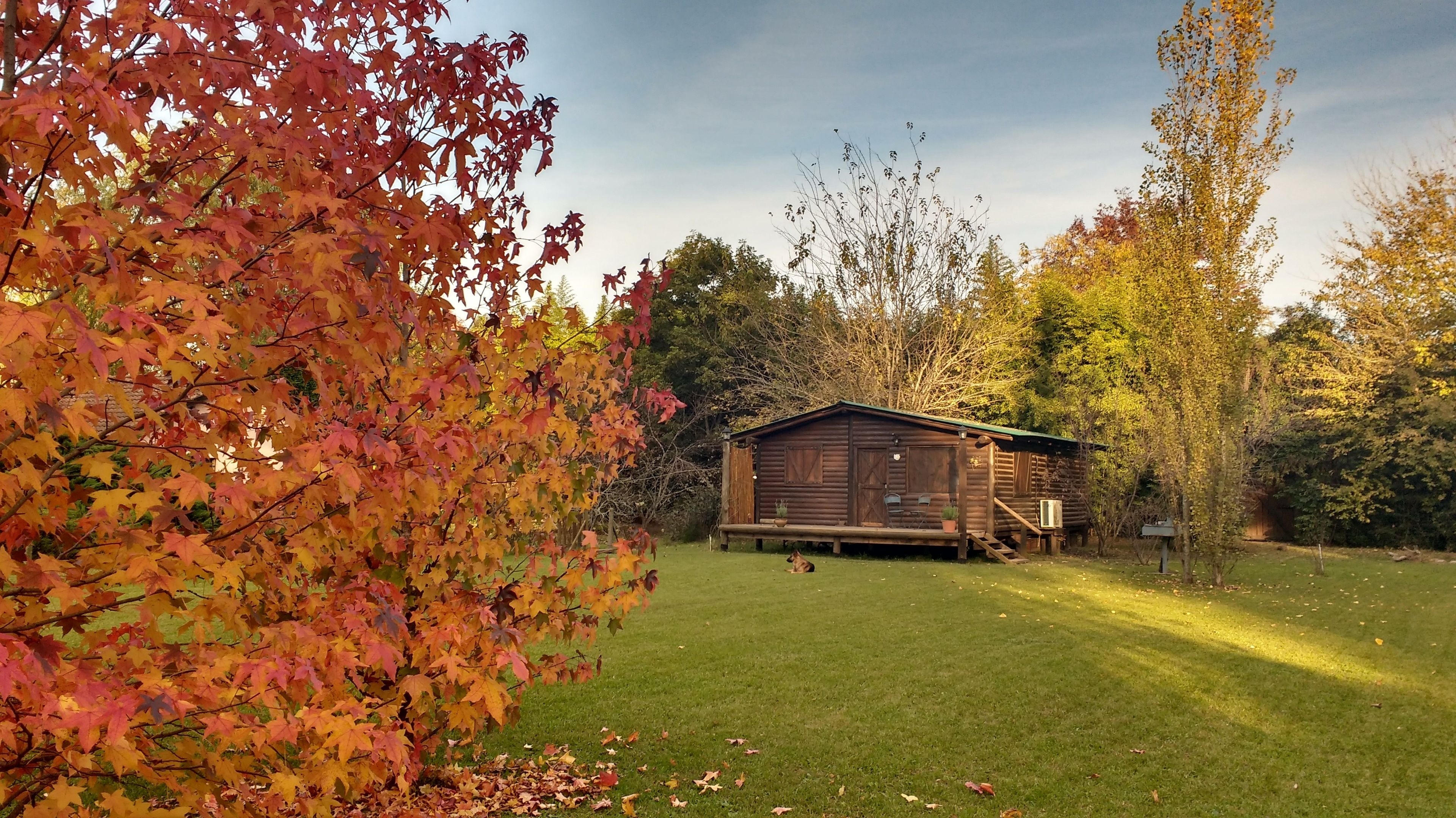 Cabanas Las Lavandas En Pilar