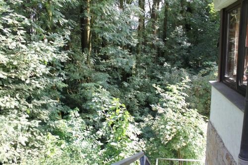 FeWo Harling - Waldsamkeit