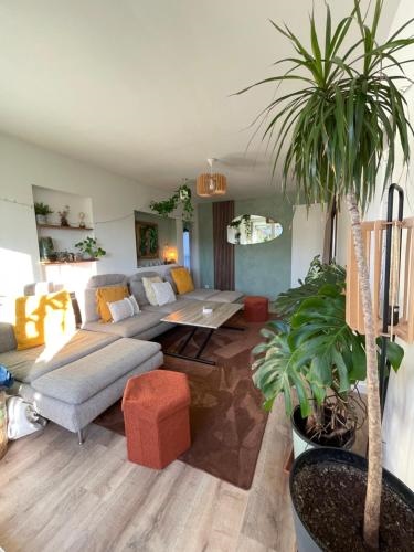 Appartement T3 foret & plage