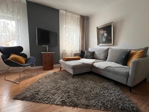 Sascha s Home