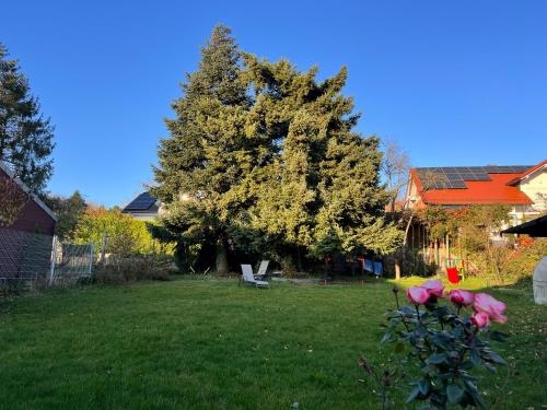 Neu! Gro?e Ferienwohnung 3 ZKB 90 qm mit Netflix und PS5