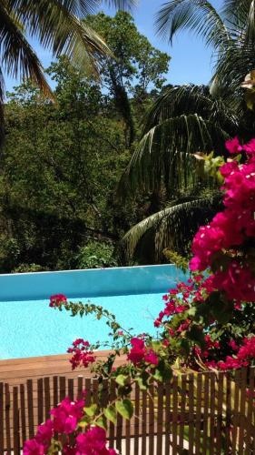 Confortable T1 Le Gosier, Wi-Fi, piscine dans gite