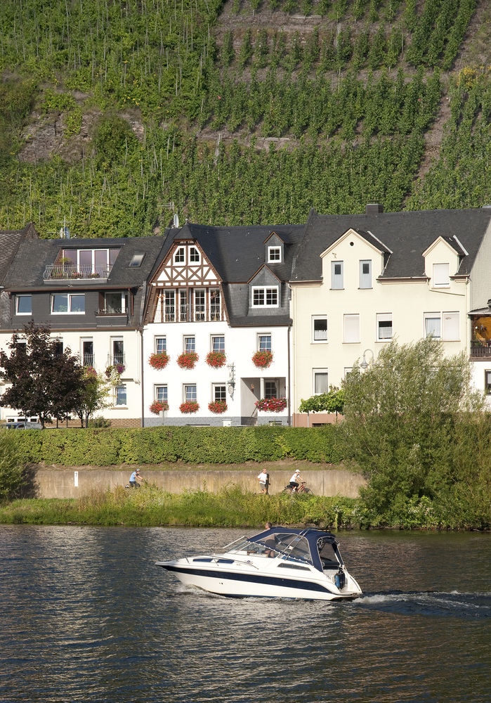 Mosel Panorama