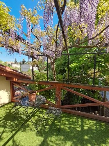 Balassi apartment with green terrace&bike
