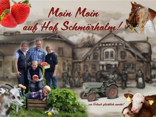 Hof Schmorholm