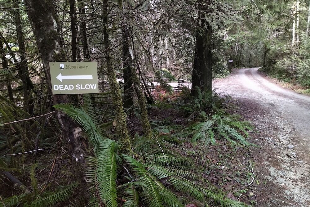 The Cabin at Moon Dance